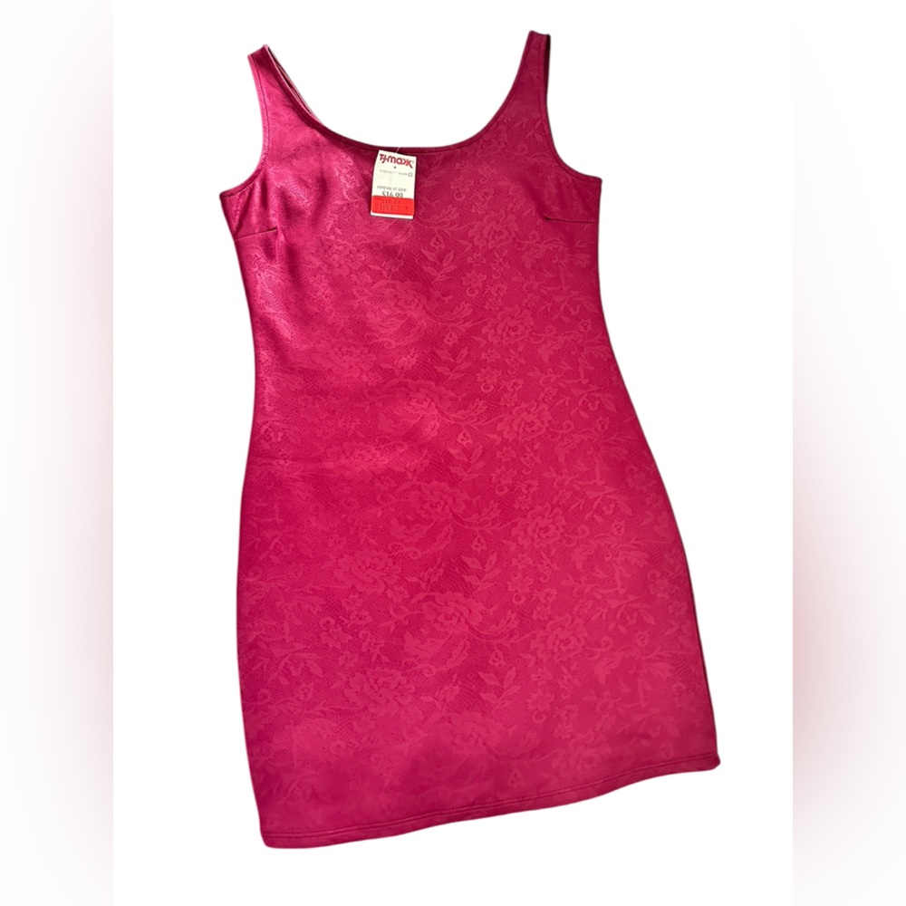 Soprano Mini Garnet/Burgundy Dress